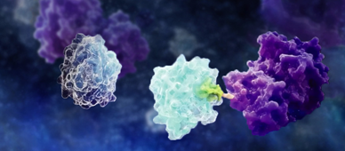 crispr-pr-image