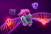 Stilisierte 3D-Darstellung einer DNA-Doppelhelix, die Lücken aufweist