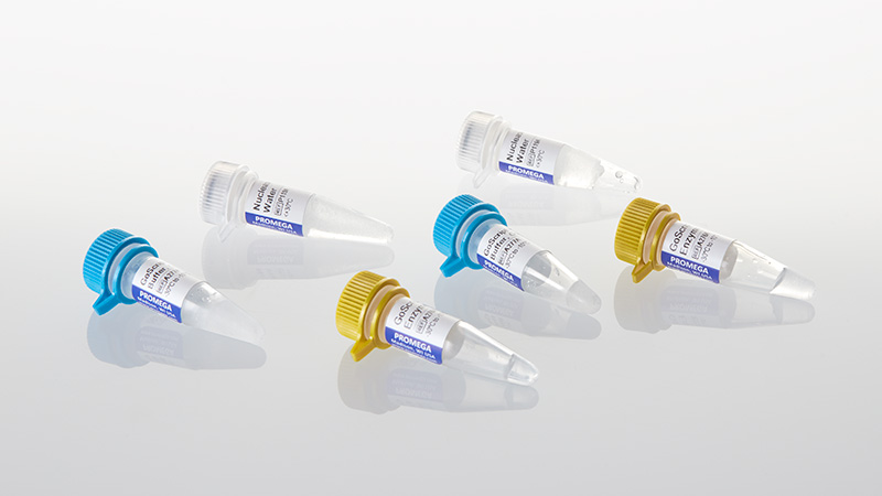 GoScript Reverse Transcription Mix Oligo dT 100 reactions