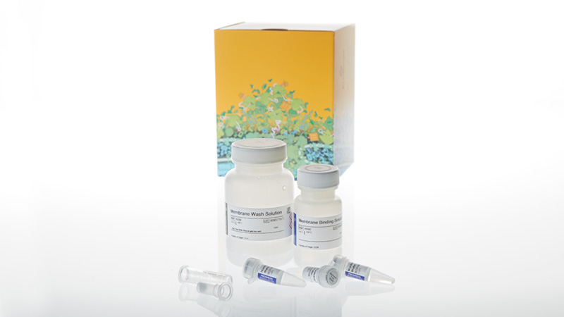 Wizard® SV Gel and PCR Clean-Up System Start-Up Kit