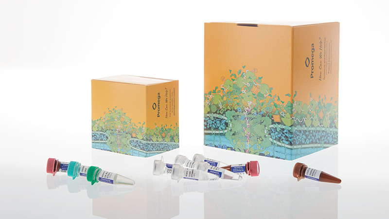 dc8020-versaplex-31p-system