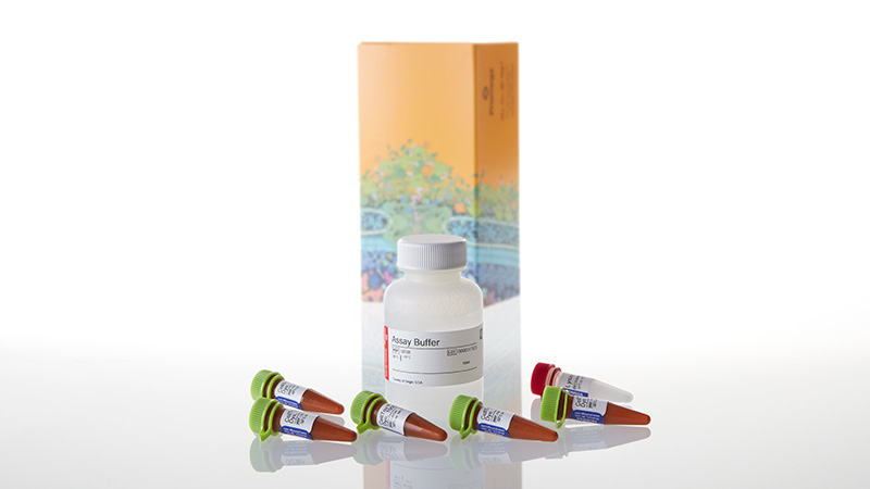 G8742_CellTox--Green-Cytotoxicity-Assay--50-ml_3