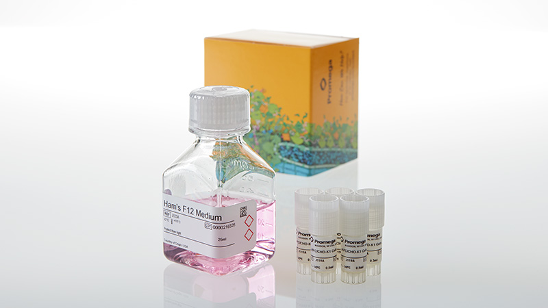 JA9445_aAPC-CHO-K1-Cells-5X_3