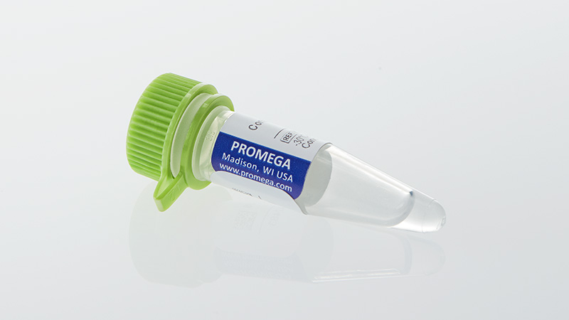 K1231_Control-Ab--Anti-CD28_3