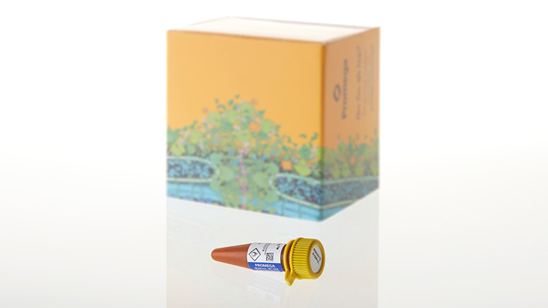 N2580_Nano-Glo--Vivazine--Live-Cell-Substrate_3