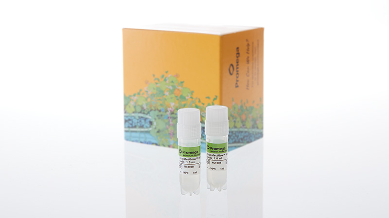 nc1002transfectnowhek293cells2x1ml3