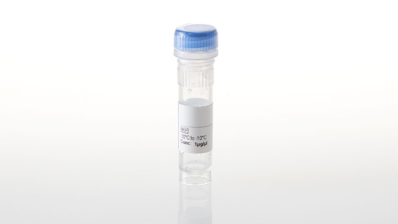 NV4291_STK26-NanoLuc- Fusion Vector- 20ug