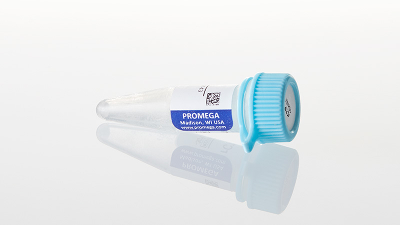 P1142_rCTP--10mM--0-5ml_3