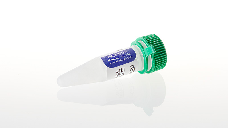 P1152_rGTP--10mM--0-5ml_3