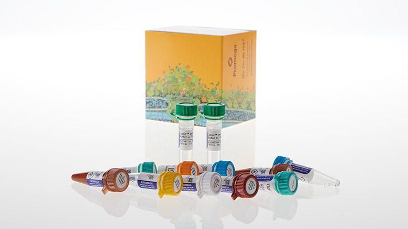 ◆ニチベイ◆ウッドブラインド◆W1220×H920◆O-2506BL7◆ Lumit® Immunoassay Cellular Systems