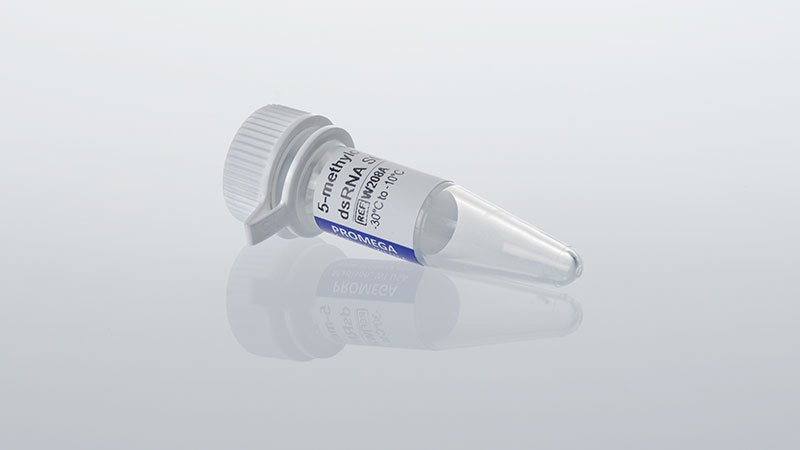 w2080-lumit-5-methylcytidine-dsrna-standard