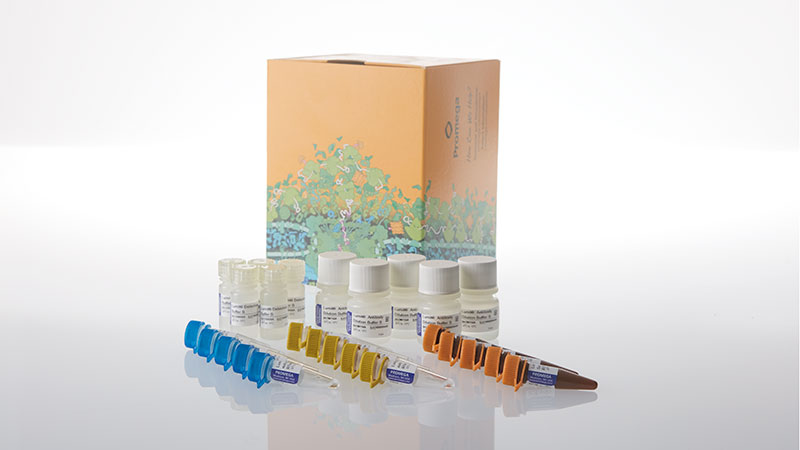 w8012-lumit-insulin-immunoassay
