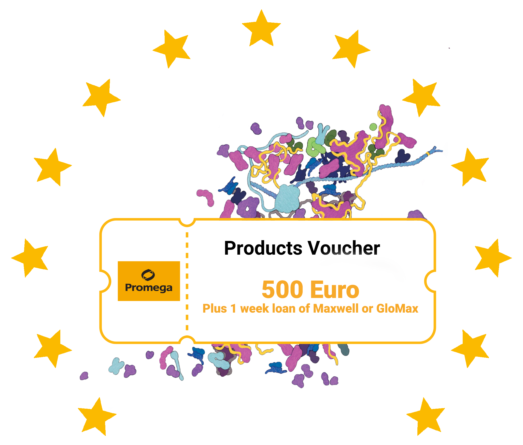 2024-rising-researcher-prizes-bnl3-500