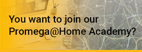 home-academy-en