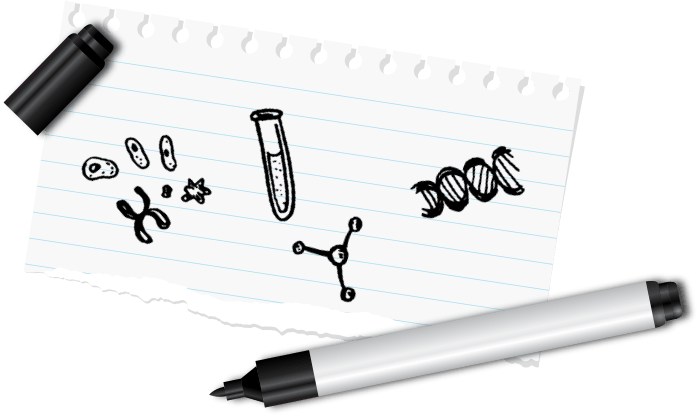 doodles-timeline