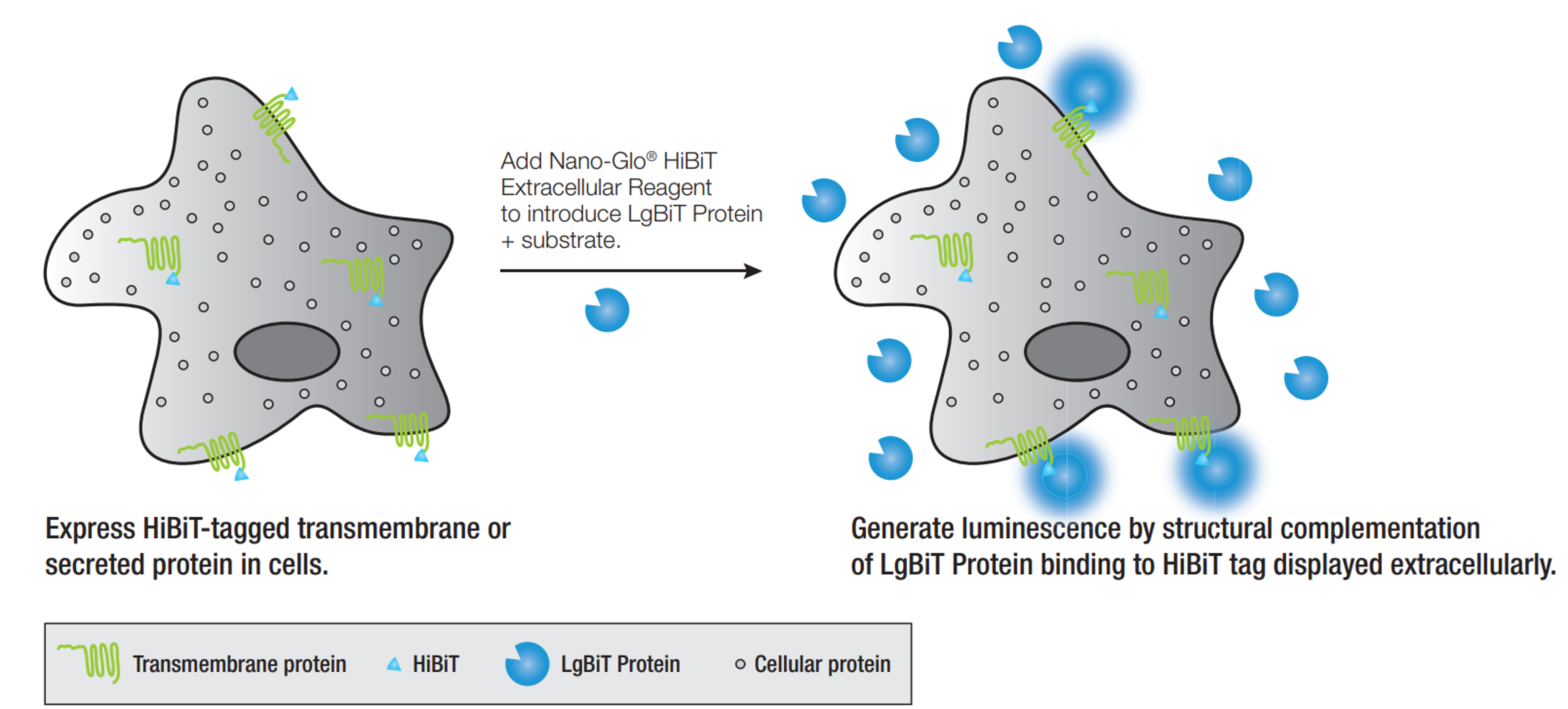figure1
