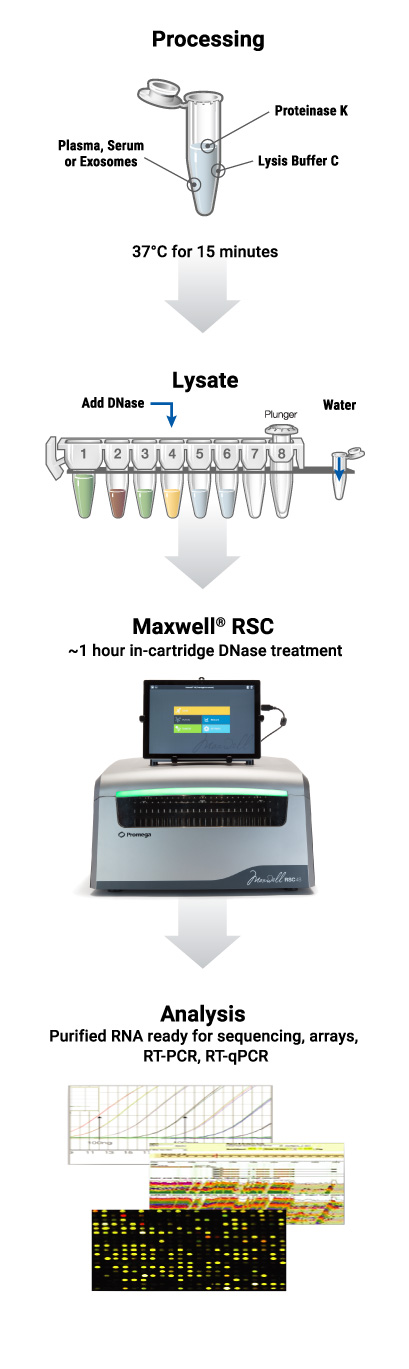 Automated miRNA extraction from plasma serum or exosomes protocol