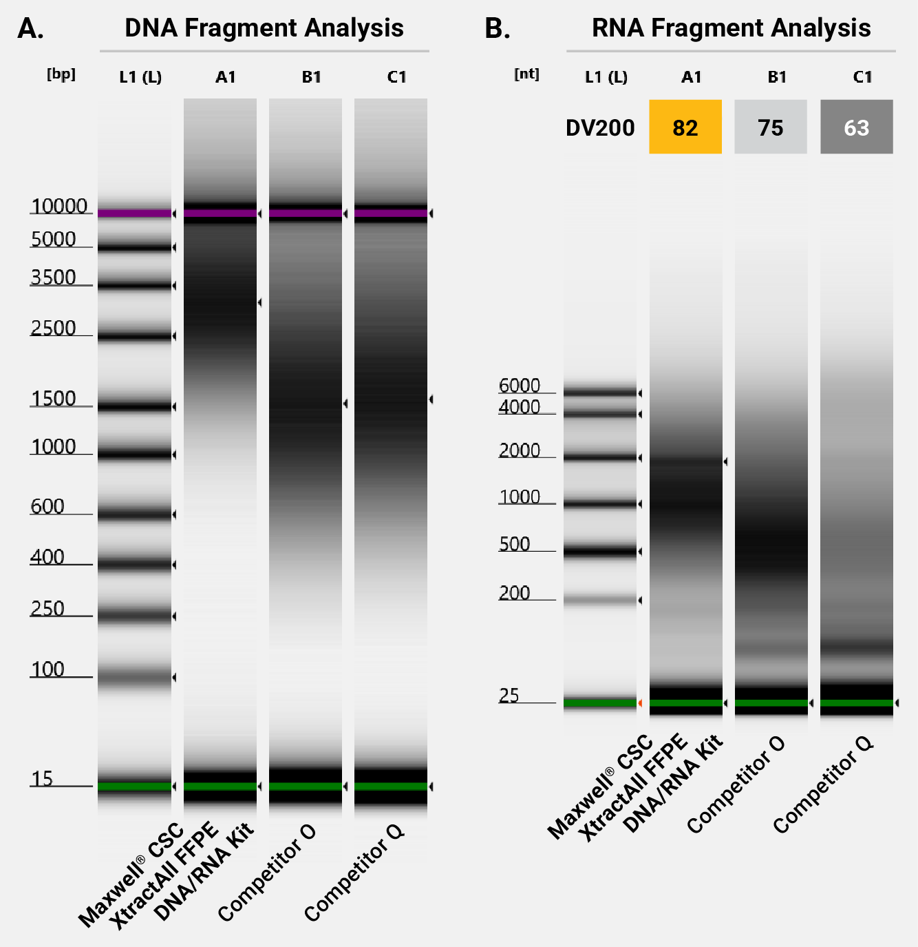 Gel photos comparing FFPE DNA and RNA fragment size and quality from several extraction kits (Maxwell® CSC XtractAll FFPE DNA/RNA Kit and two competitors); DNA fragment size was evaluated using the Agilent TapeStation Assays.