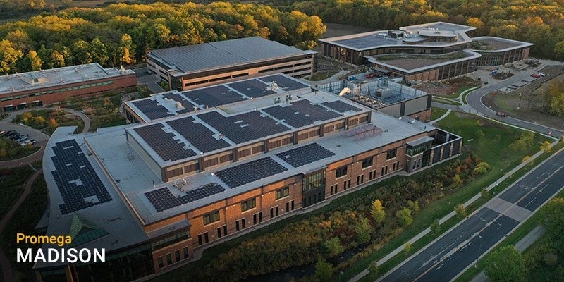solar-panels-800x400